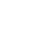 icon (1)
