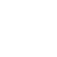 icon (2)
