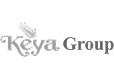 logo gray (1)